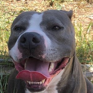 Meet your Posher, Old